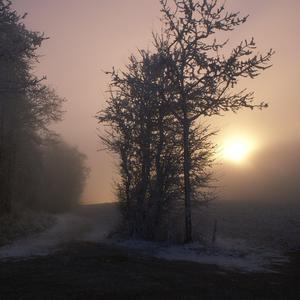 黄色小说嗯嗯啊啊视频试看
